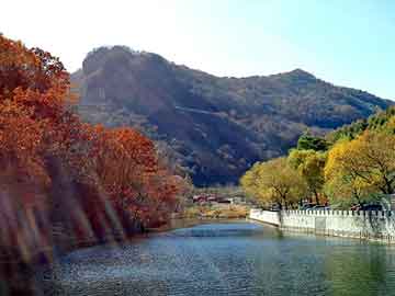 澳门期期准免费精准，佛山至山东物流